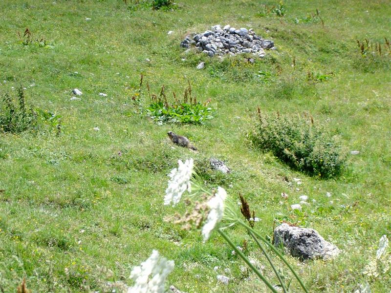 Refuge des glieres (7)